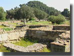 Olympia